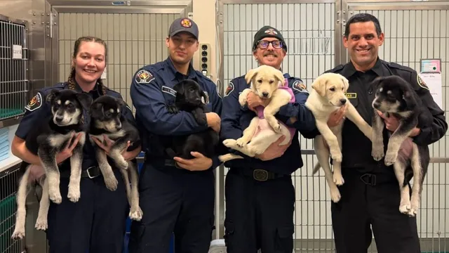 Ethan Browne dies from drug-related causes at 52