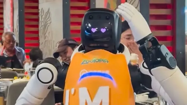 Robot goes wild at California restaurant, smashing dishes and dancing