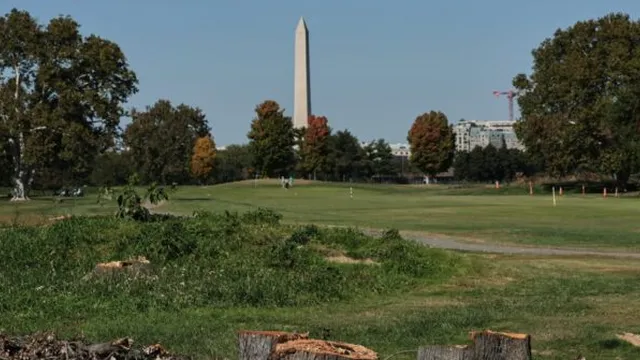U.S. federal judge blocks tree removal at East Potomac Golf Course in Washington, D.C