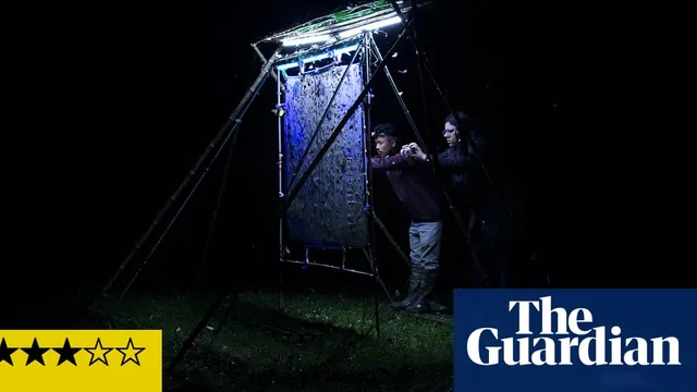 Mansi Mungee explores the impact of climate change on hawk moths