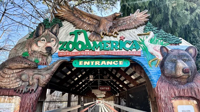 Parents face charges after toddler injured by wolf at Zoo America