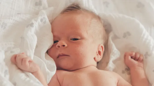 Henry Paul born in Ashford, Kent on August 3, 2024