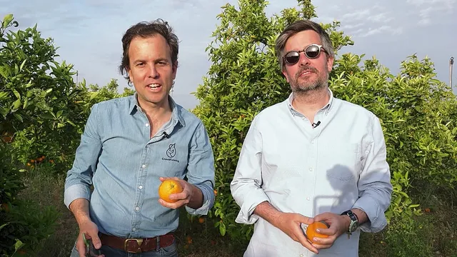 CrowdFarming achieves 65 million euros in revenue amid changing agricultural practices
