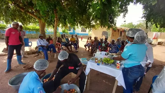Ghana explores economic potential of cashew apples for farmers