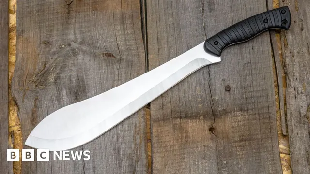 Victoria plans machete ban after violent gang fight