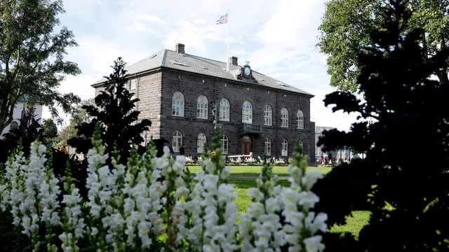 Iceland votes to reconsider EU membership amid rising support
