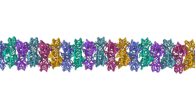 New study reveals RNA can form complex structures previously unseen