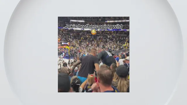 Strahinja Jokic Cited for Assault at Nuggets Game