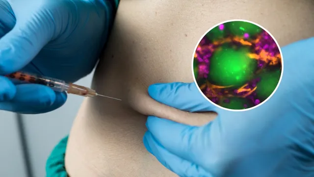 Willie Anderson successfully receives kidney transplant from girlfriend