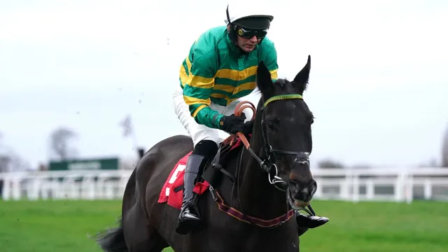 Jonathan Doidge shares top betting insights for Bangor and Wolverhampton races
