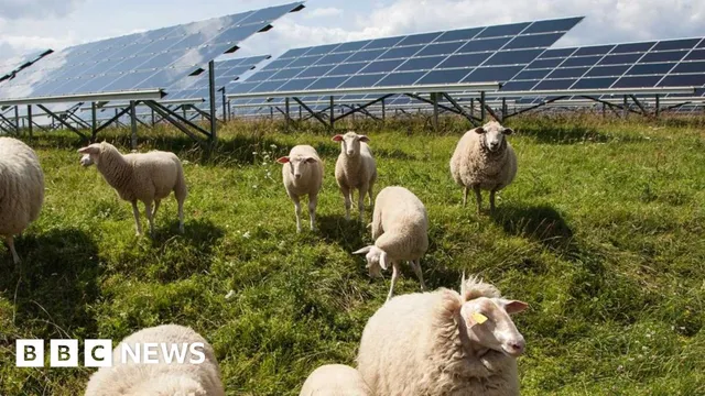 Norfolk locals voice opinions on RWE solar farm plans
