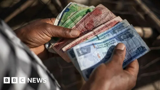 Ethiopia's Currency Plummets Following Policy Shift Amid IMF Negotiations