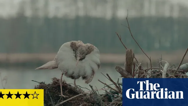 Sönje Storm ignores the Nazi horror in her great-grandfather's nature photographs