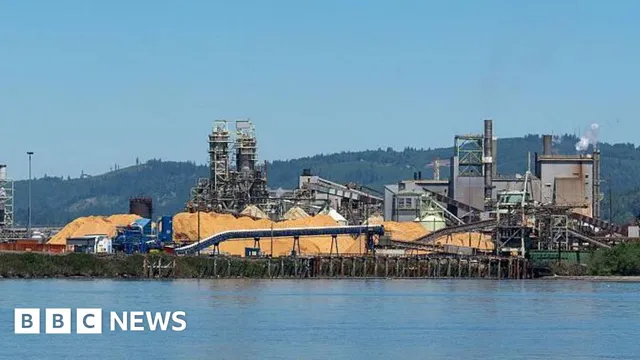 Multiple fatalities reported after chemical tank implodes at Longview paper mill
