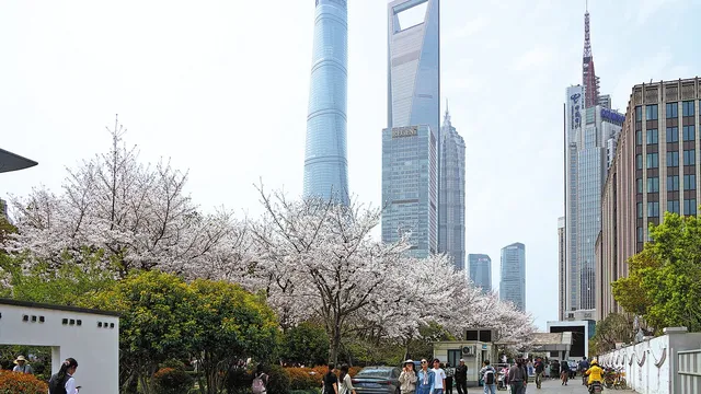 China to establish international center for digital yuan in Shanghai