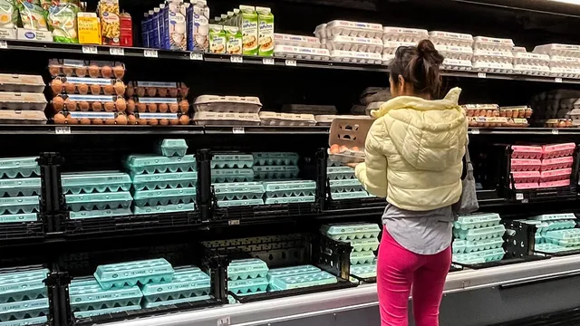 Egg prices plummet 61% since Trump took office