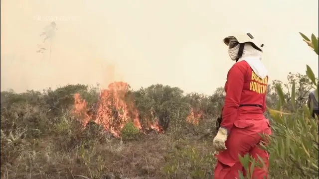 Wildfires in Peru claim 15 lives and scorch 3,000 hectares