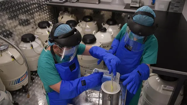 Over 800 women freeze eggs for non-medical reasons in Singapore