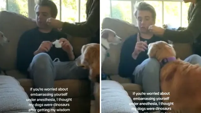 Man believes he sees dinosaurs after anesthesia mix-up