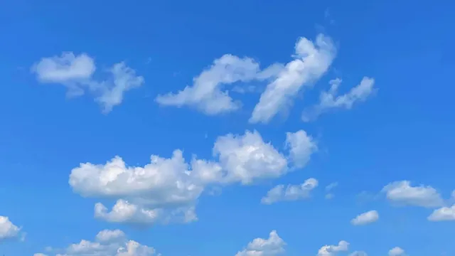 GoBlue app tracks Bluesky statistics for users