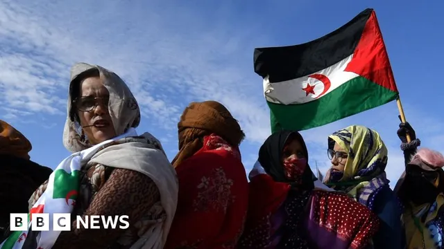 France Supports Morocco in Western Sahara Dispute Amid Algeria Tensions