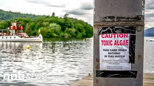 Every water body in England fails to meet chemical safety standards