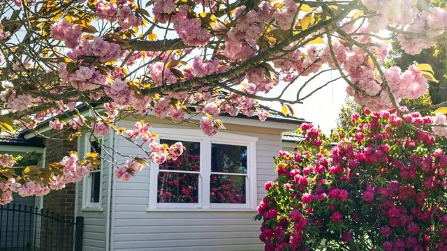 Midwest markets surge as homebuyers seek affordability amid price corrections