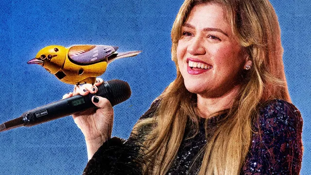 Kelly Clarkson criticizes Brooklyn toy store Art of Play for poor customer service