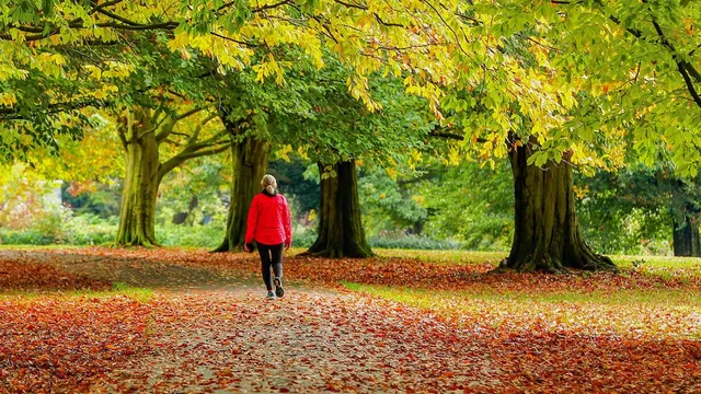 10C temperature plunge in stark six