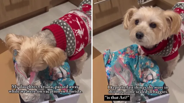 Jesy Nelson's twins face tragic diagnosis of spinal muscular atrophy