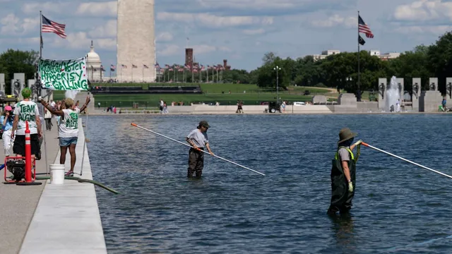 Trump's $14 million pool renovation turns green due to algae