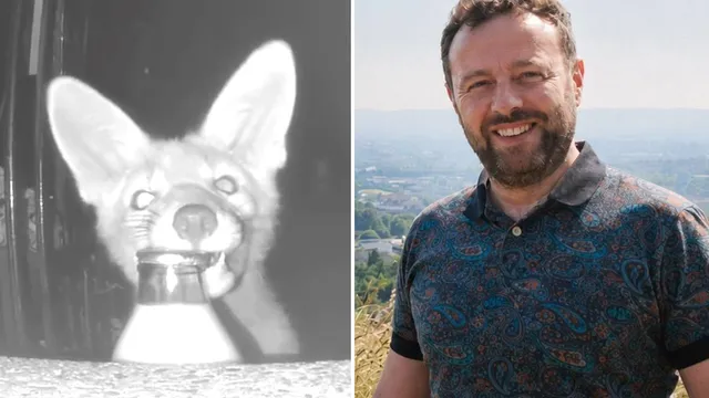 Homeowner discovers fox stealing milk deliveries