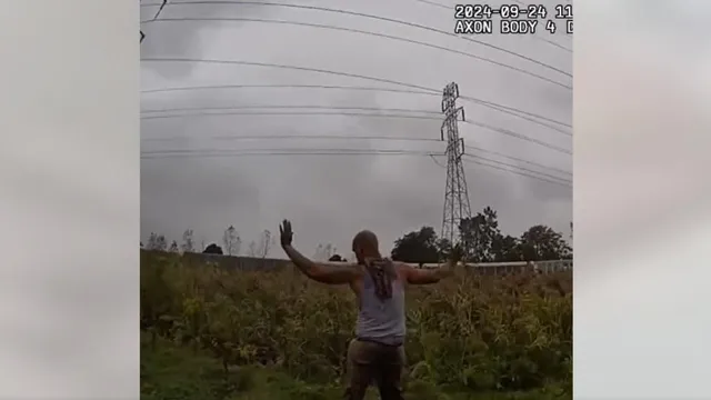 Suspect flees police across freeway in Detroit traffic stop