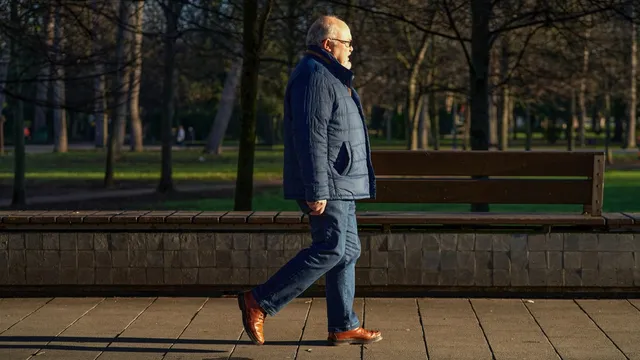 Genes significantly influence lifespan according to new study