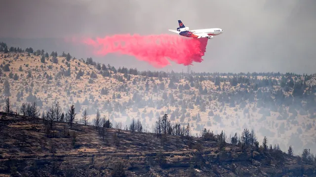 Oregon faces devastating wildfires as over a million acres burn