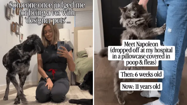 Dr. Ashley Gray shares heartwarming rescue stories of her pets