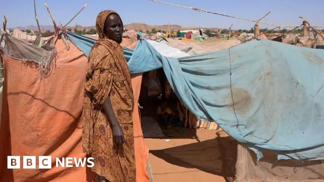 UN report highlights genocide intent by Sudan's Rapid Support Forces