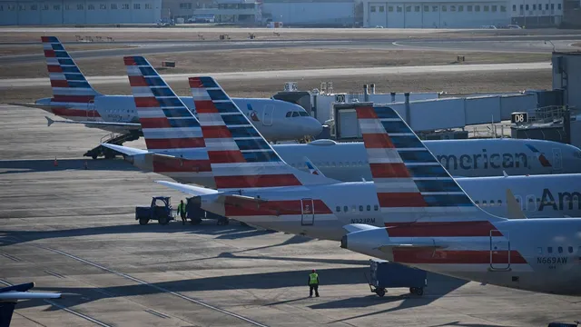 Delta warns of no growth in airline industry amid declining demand