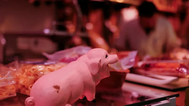 Police raid lab amid fears of African swine fever outbreak in Spain
