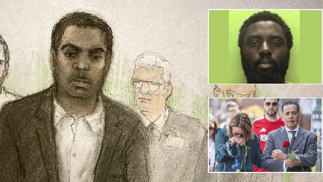 Valdo Calocane pleads guilty to manslaughter after triple killing spree