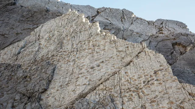 Wildlife photographer finds tens of thousands of dinosaur footprints in Italy