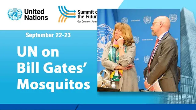 UN Officials Address Concerns on Bill Gates' Mosquito Project
