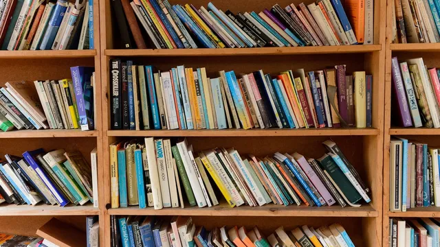 Half of novelists fear AI will completely replace their creativity