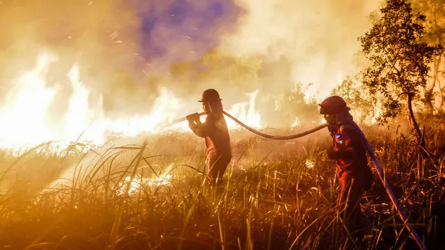 Indonesia faces severe wildfires as Super El Niño intensifies