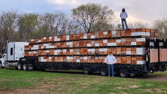 U.S. tariffs threaten Canadian honey farm's survival