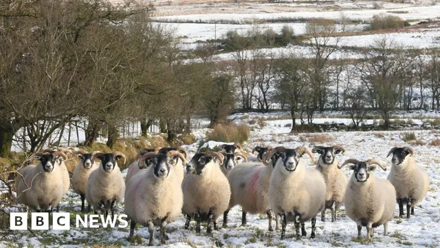 Icy patches threaten safety on Northern Ireland's roads