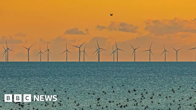 Cornwall and Devon report surge in tourism after wind farm tours