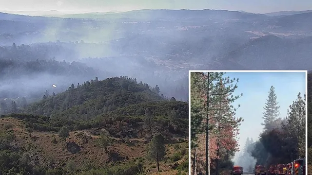 Dove Fire spreads rapidly, forcing evacuations near Yosemite