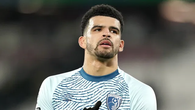 Tottenham Signs Dominic Solanke for £65m