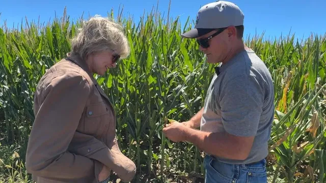 Colorado voters split on climate change amid election debates
